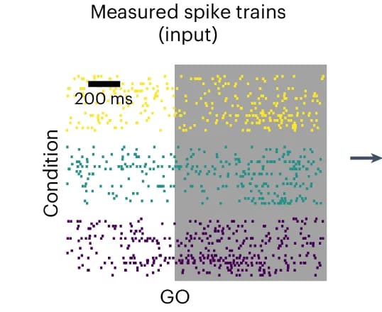 Open access visualization of Scatter Plot, Spike Trains, Premotor Cortex, Reach Conditions, Recording Channels