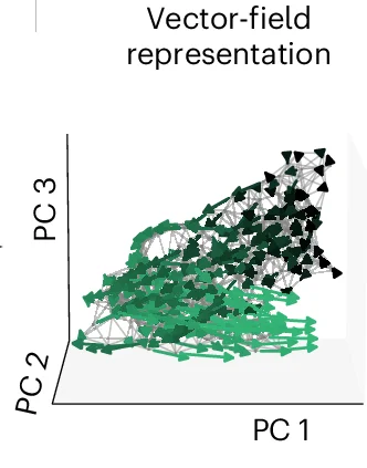 Open access visualization of 3D Plot, Vector Field, Firing Rate Trajectories