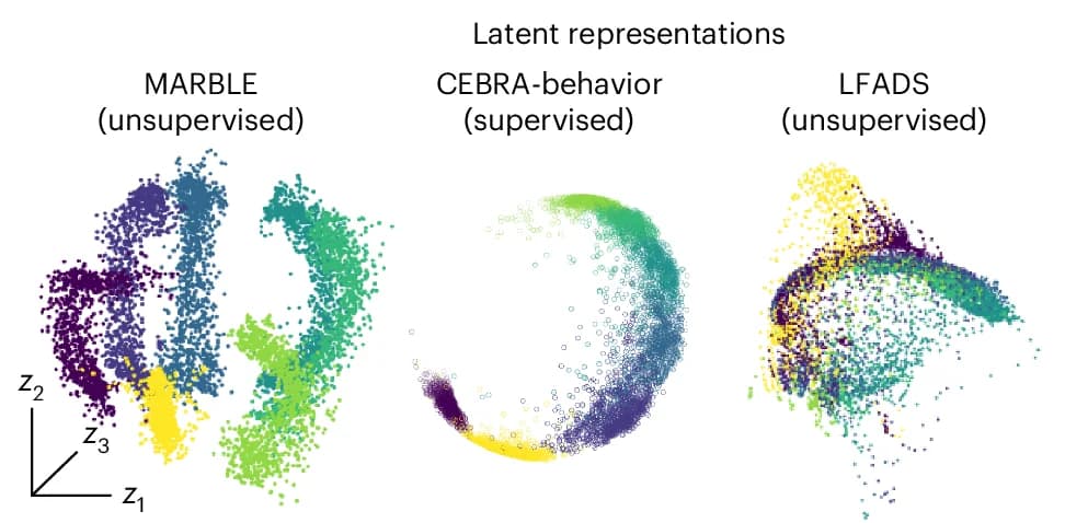 Open access visualization of Scatter Plot, 3D Plot, Latent Representations, Neural Data, Reach Conditions