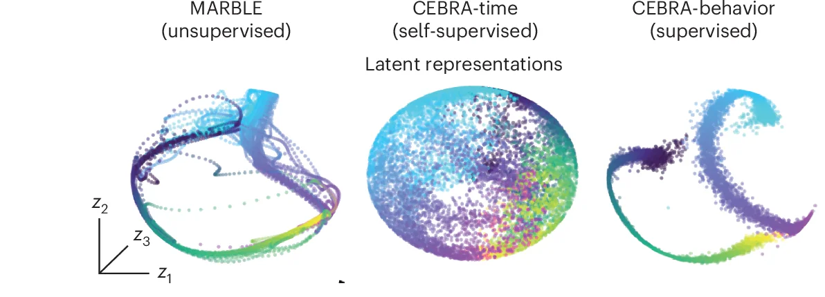 Open access visualization of Scatter Plot, 3D Plot, Latent Representation, MARBLE, CEBRA