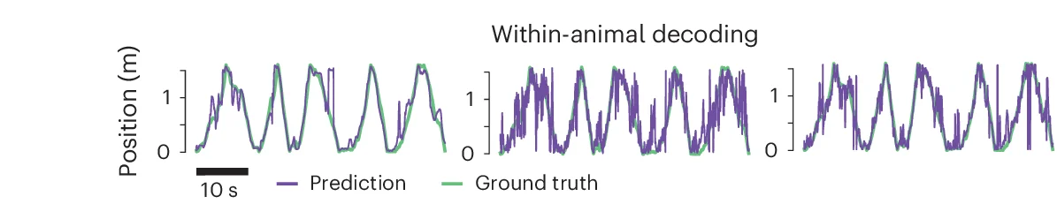 Open access visualization of Line Plot, Time Traces, Animal Position, Rat, Linear Decoding