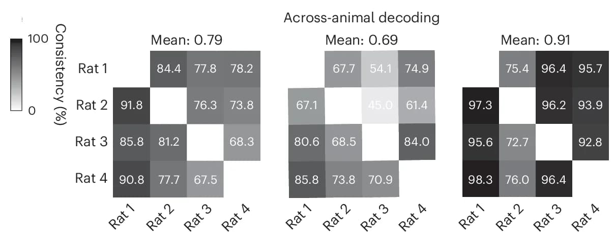 Open access visualization of Heatmap, Cross-Animal Consistency, R2, Linear Fit, Latent Representation