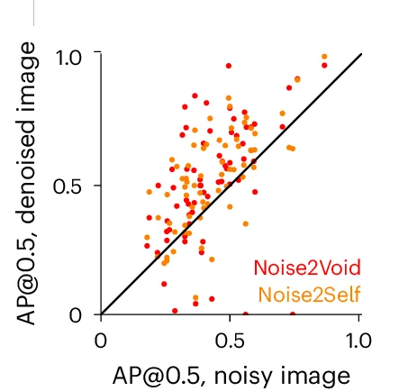 Open access visualization of Scatter Plot, Regression Plot, Clean Image, Cellpose, Test Set