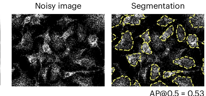 Open access visualization of Microscopy, Poisson Noise, Segmentation, Average Precision, IoU