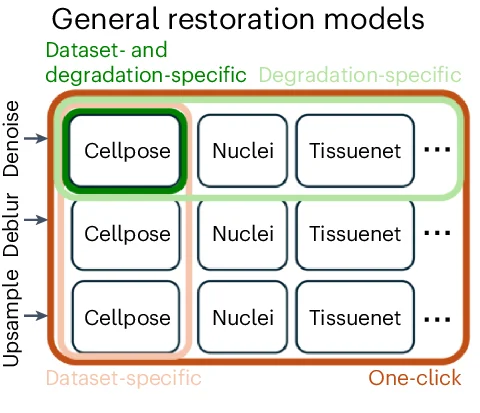 Open access visualization of Workflow, Flowchart, Training Datasets, Degradation Types, Networks