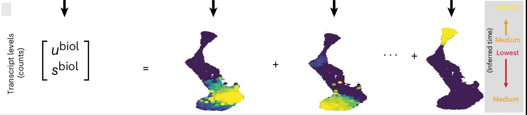 Open access visualization of Scatter Plot, UMAP, Counts, Sequencing Depth