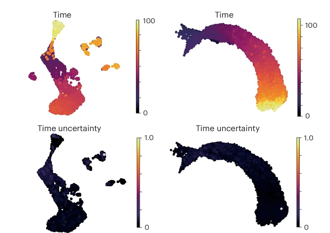 Open access visualization of Scatter Plot, UMAP, Cell Specific Time Estimates, Cell2fate, Astrocytes