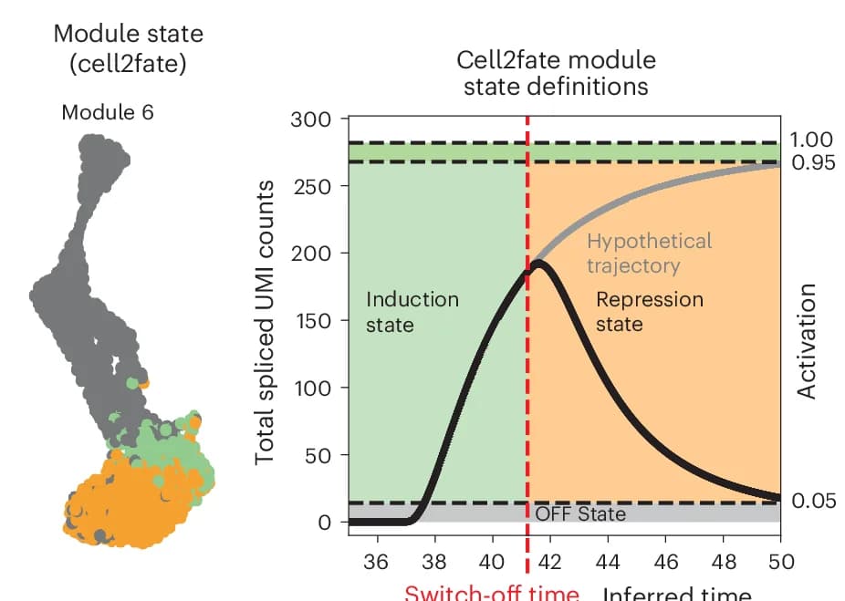 Open access visualization of Line Plot, Scatter Plot, UMAP, Cell2fate Module, MOFA Factor