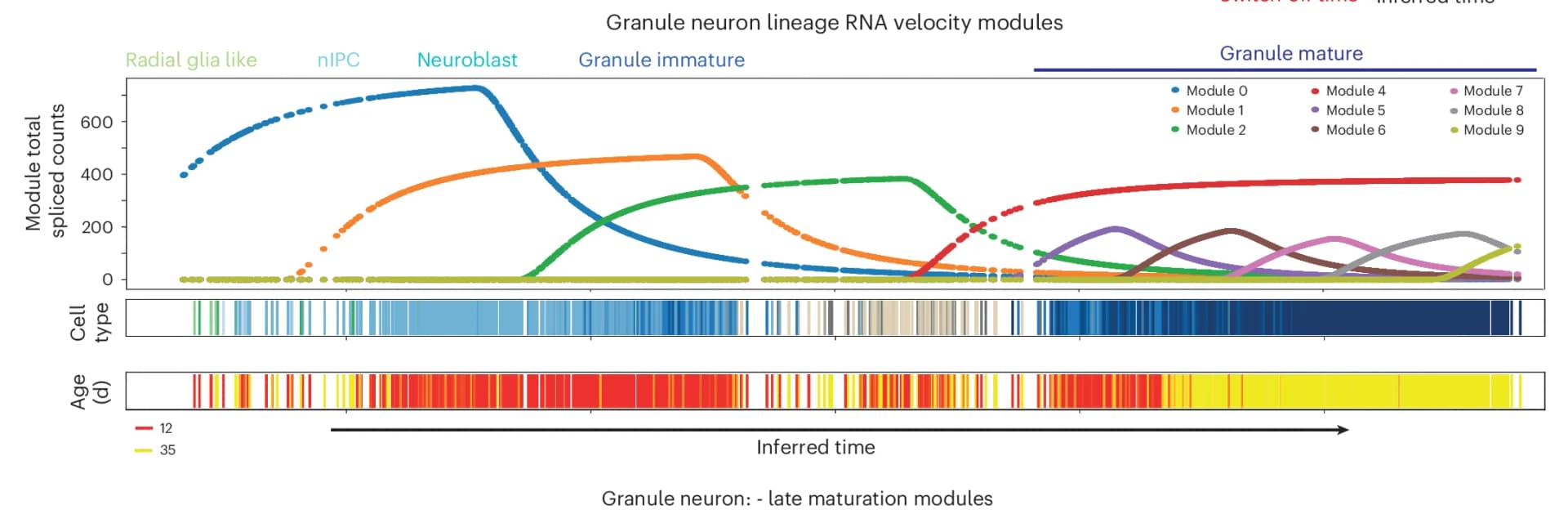 Open access visualization of Line Plot, Bar Plot, Modules, Cell States, Gene Expression