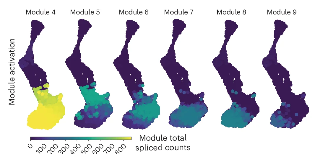 Open access visualization of Scatter Plot, UMAP, Activation, Spliced Counts, Module