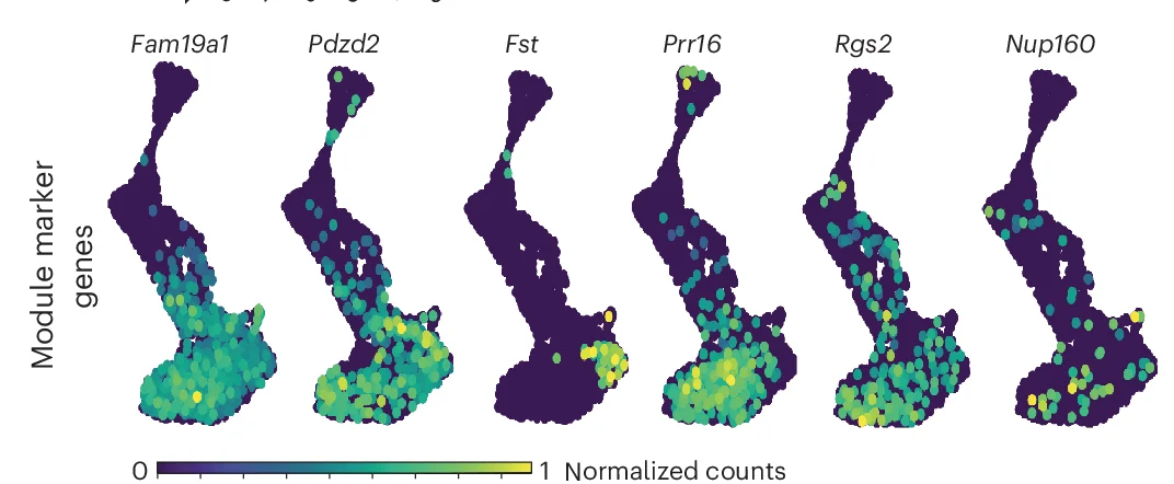Open access visualization of Scatter Plot, UMAP, Module Marker Genes, Transcription Rate
