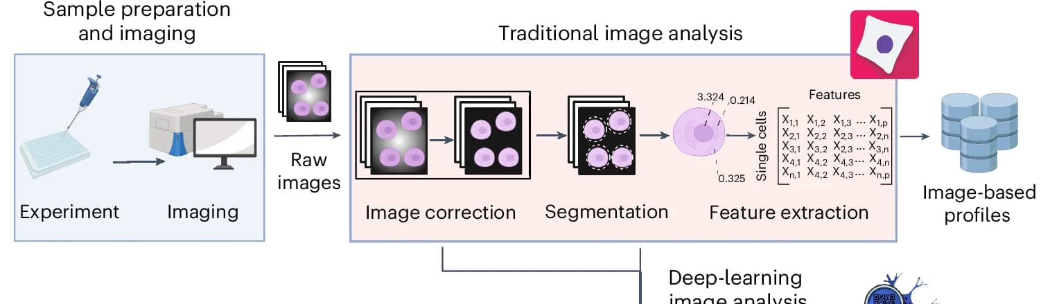 Open access visualization of Workflow, Flowchart, Illustration, Cells, Chemical Agents
