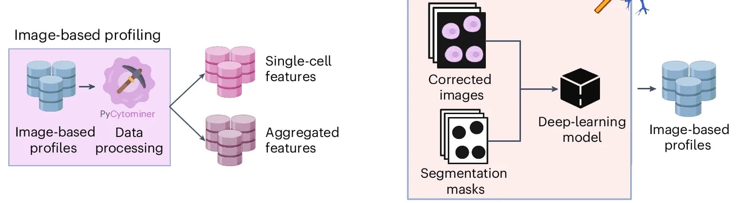 Open access visualization of Workflow, Flowchart, Pycytominer, Image-based Profiling, Morphology Features