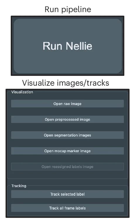 Open access visualization of Workflow, Flowchart, Illustration, Processing Tab, Nellie's Pipeline