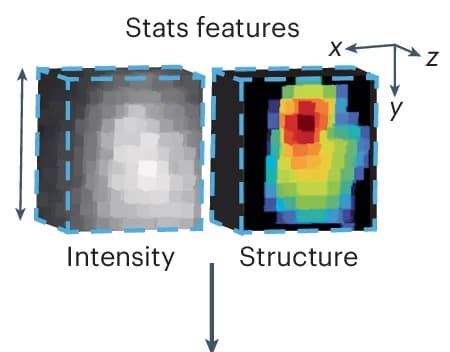 Open access visualization of 3D Plot, Bounding Box, Intensity Values, Structural Enhancement, Stats Features