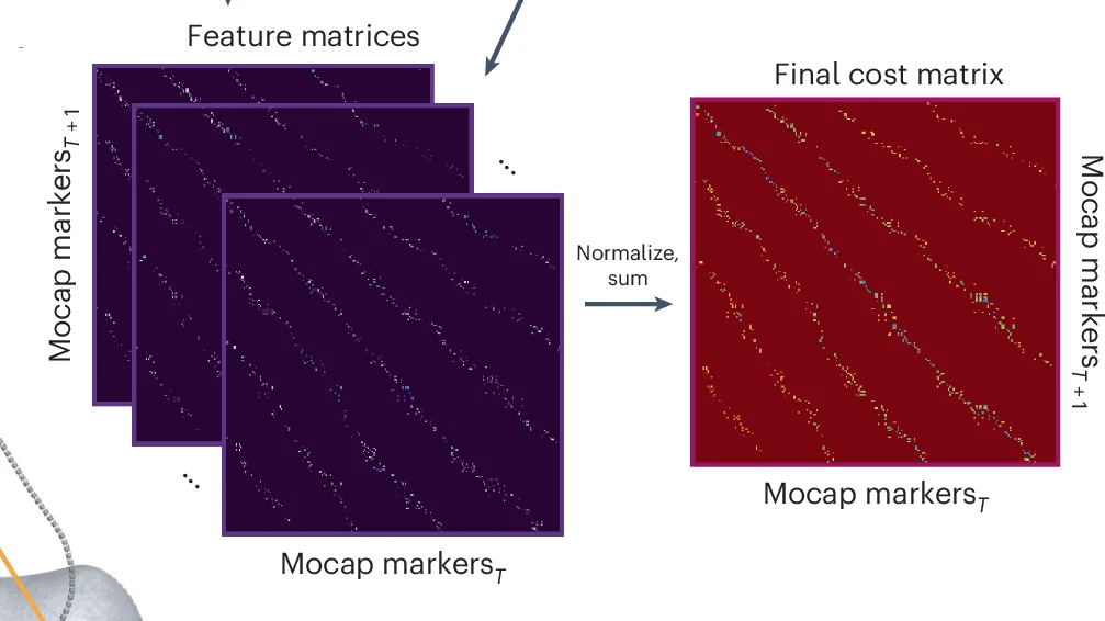 Open access visualization of Heatmap, Difference Matrices, Distance, Hu Features, Stats Features