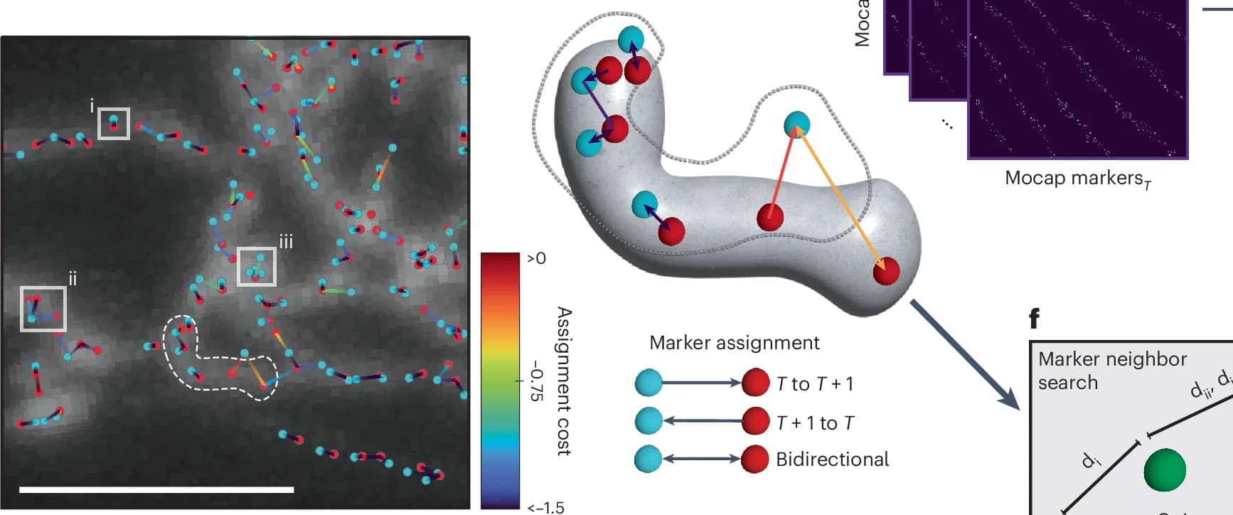 Open access visualization of Workflow, Illustration, Mocap Markers, Assignment Cost, Matches