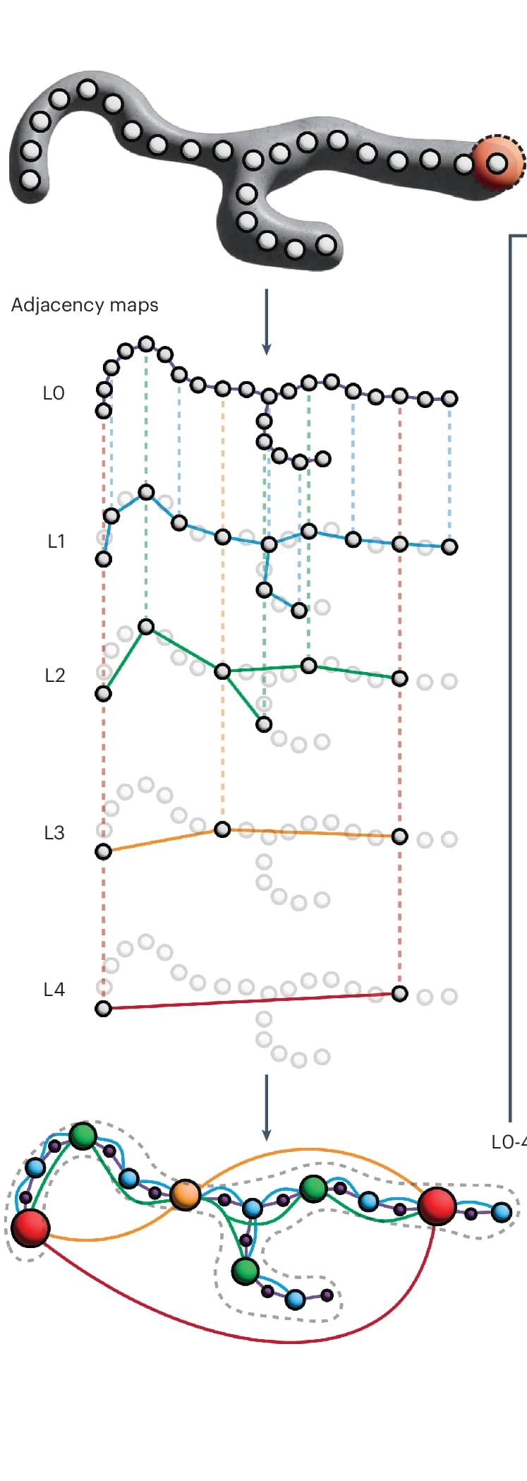 Open access visualization of Network, Pathway, Line Plot, Scatter Plot, Workflow