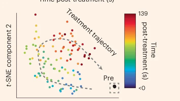 Open access visualization of Scatter Plot, UMAP, t-SNE, Dimensionality Reduction, Latent Space Embeddings