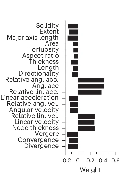 Open access visualization of Bar Plot, Tensor Decomposition, Branch Features