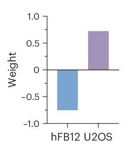 Open access visualization of Bar Plot, Tensor Decomposition, Cell Types