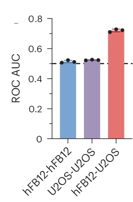 Open access visualization of Bar Plot, Error Bars, AUC, ROC, Random Forest