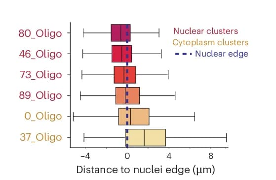 Open access visualization of Box Plot, Points2Regions, Distance to Nuclei, Nuclei Edge