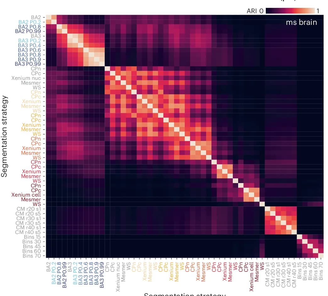 Open access visualization of Heatmap, Adjusted Rand Index, Segmentation Outputs, Mouse Brain Samples