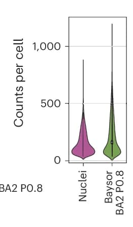 Open access visualization of Violin Plot, Cell Counts, Baysor Segmentation, Xenium Nuclear Segmentation