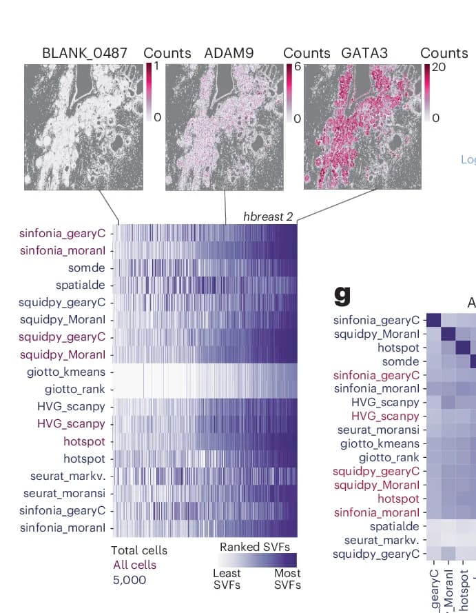 Open access visualization of Heatmap, Microscopy, SVF Scores, Algorithms, Breast Cancer Dataset