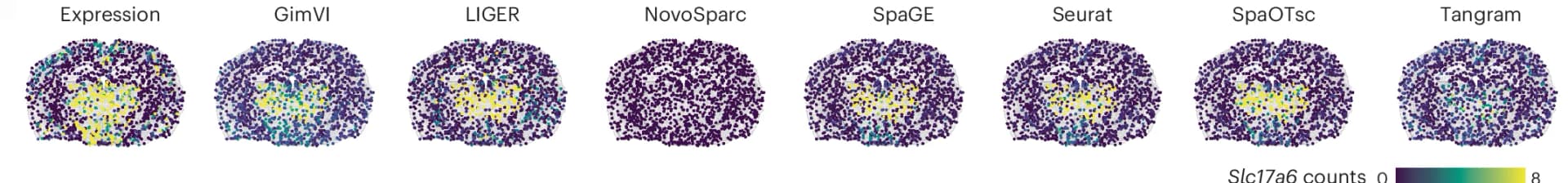 Open access visualization of Scatter Plot, Gene Expression, Mouse Brain, Imputation Algorithms