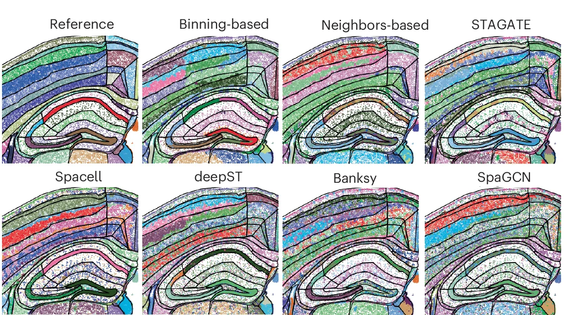 Open access visualization of Scatter Plot, Spatial Map, Annotated Domains, Mouse Brain, Algorithms