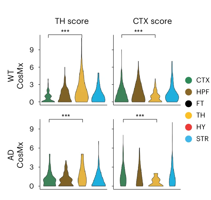 Open access visualization of Violin Plot, Violin Plots, CTX Scores, TH Scores, Astrocytes Subcluster