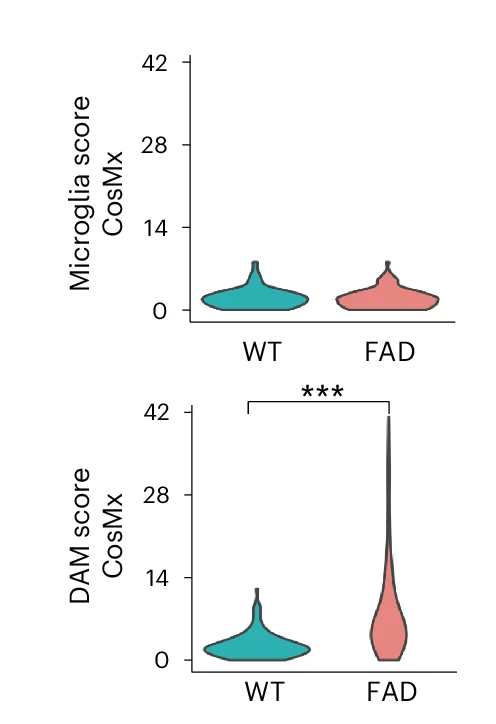 Open access visualization of Violin Plot, Violin Plots, Microglia, DAM Scores, Microglia Subclusters