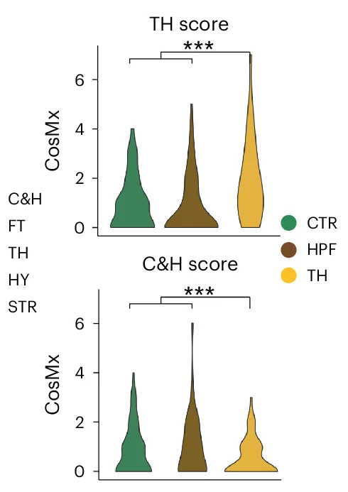 Open access visualization of Violin Plot, Violin Plots, C&H Scores, TH Scores, Microglia Subclusters
