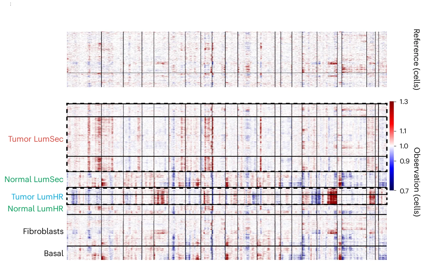 Open access visualization of Heatmap, inferCNV, iscRNA Data, Tumor Cells, BC1160920F