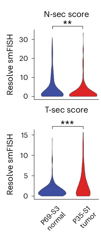 Open access visualization of Violin Plot, Violin Plots, N-Sec Scores, T-Sec Scores, LumSec Cells