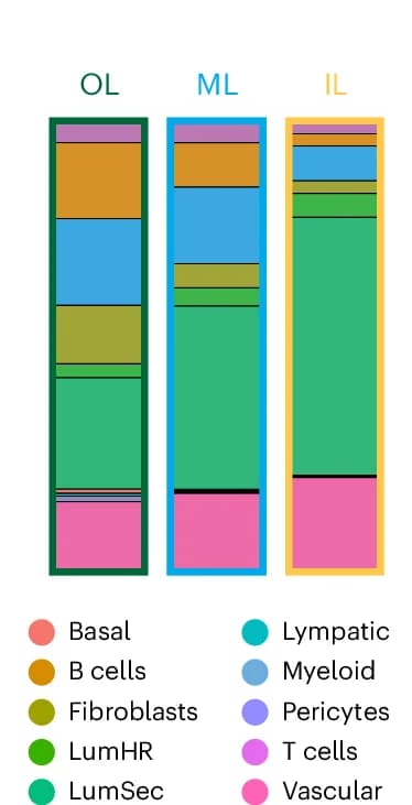 Open access visualization of Stacked Bar Plot, Cell Type Proportions, Spatial Domains, iscRNA Data