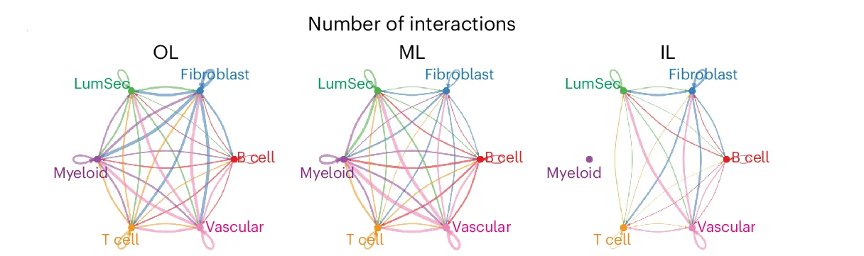 Open access visualization of Network, CellChat, iscRNA Data, Cells, LumSec Cells