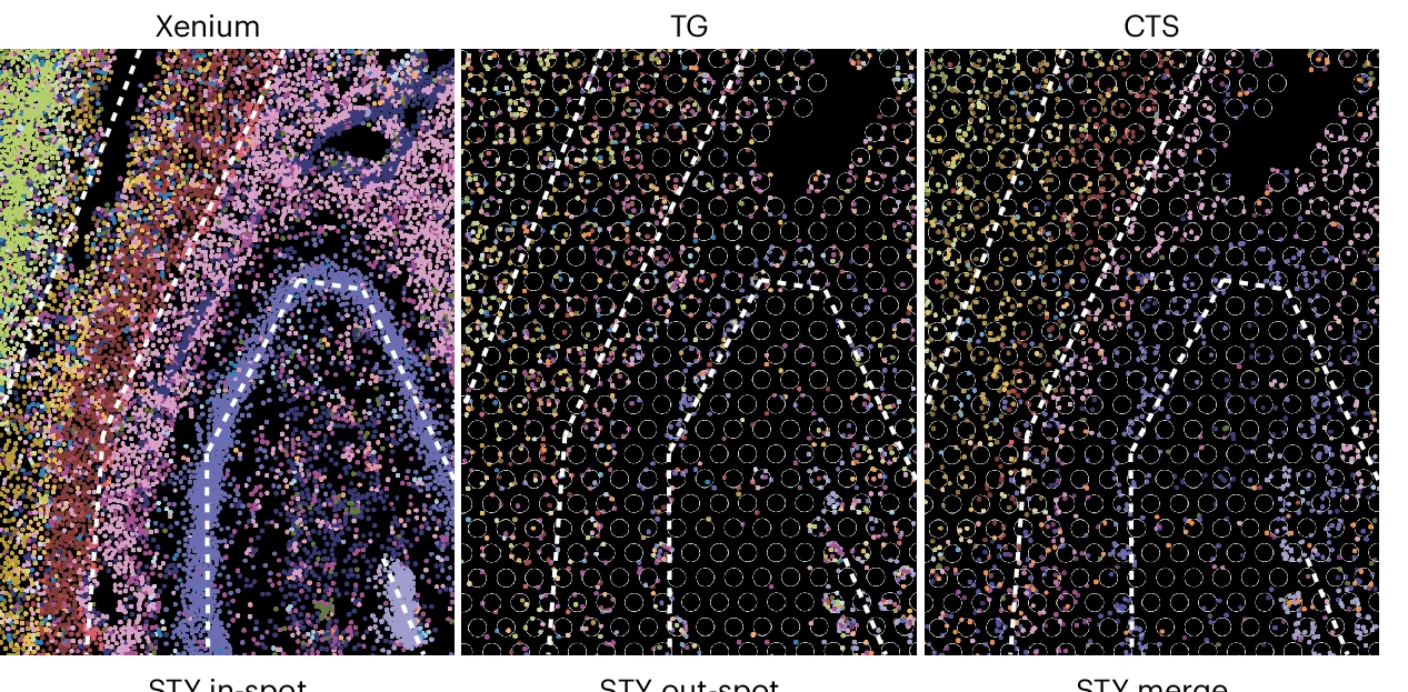 Open access visualization of Scatter Plot, Cell Type, Nuclei, Transcriptomic Spots, Visium Data
