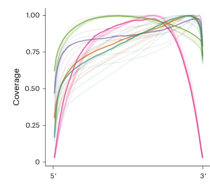 Open access visualization of Line Plot, Coverage, Transcript Length, RNA, cDNA