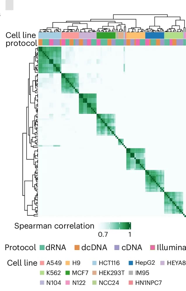 Open access visualization of Heatmap, Clustered, Gene Correlation, CPM Estimates, SG-NEx Samples