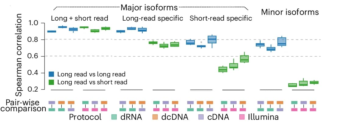 Open access visualization of Box Plot, Box Plots, Spearman Correlation Coefficient, CPM, Protein-coding Gene Isoforms