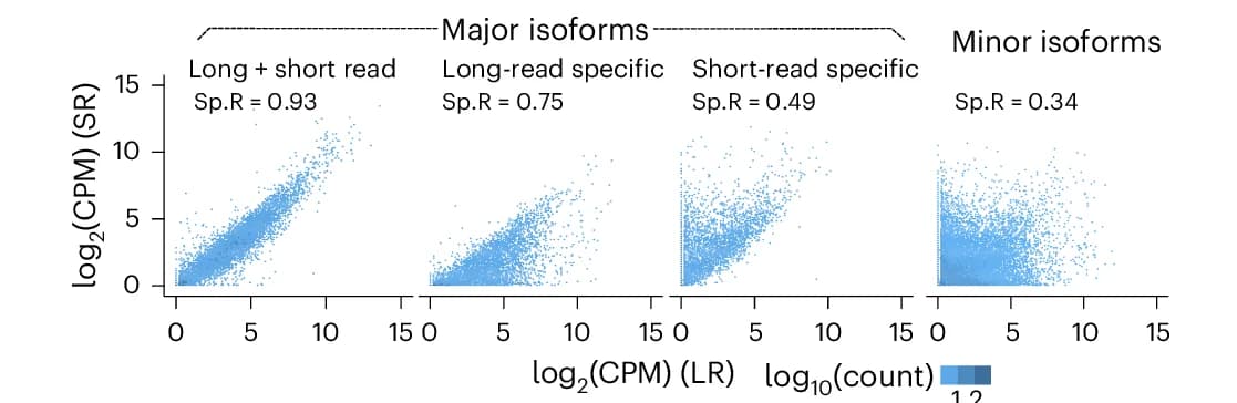 Open access visualization of Scatter Plot, Scatterplot, CPM, Protein-coding Gene Isoforms, Long-read direct cDNA RNA-seq