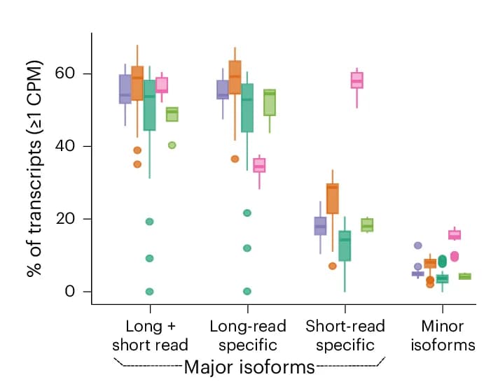 Open access visualization of Box Plot, Scatter Plot, Box Plots, Protein-coding Gene Isoforms, CPM