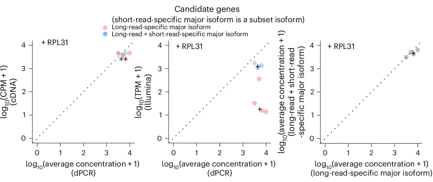 Open access visualization of Scatter Plot, Regression Plot, Scatterplots, Average Concentration, CPM Estimates