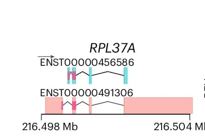 Open access visualization of Illustration, Genomic Annotations, Long-Read-Specific Major Isoform, Short-Read-Specific Major Isoform, qPCR