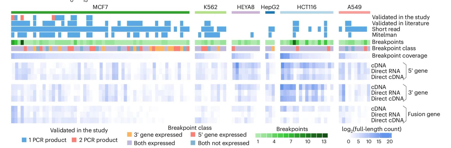 Open access visualization of Heatmap, Fusion Gene, RNA-seq, Breakpoints, Gene