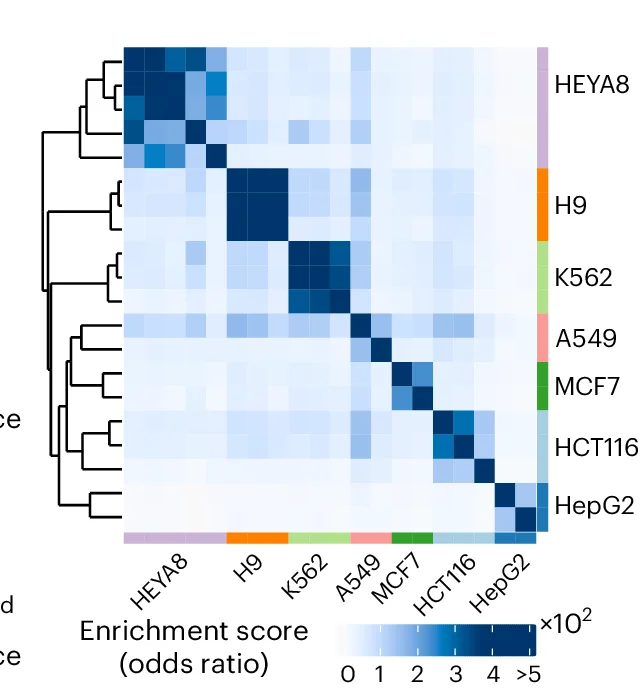 Open access visualization of Heatmap, Clustered, RNA-seq, m6A, Fisher’s test