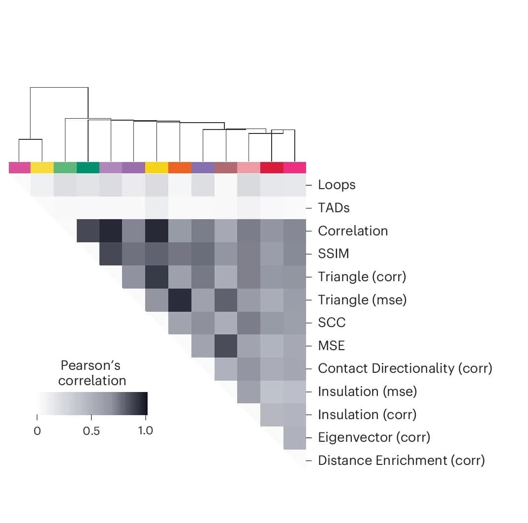 Open access visualization of Heatmap, Clustered, Pearson Correlation, Contact Maps, Perturbations